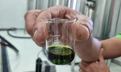 
          Imagem ilustrativa da imagem Irmãos transformam descarte de abacate em azeite de sucesso
          