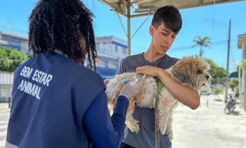 
          Imagem ilustrativa da imagem Jaboatão dos Guararapes realiza Dia D de vacinação antirrábica para cães e gatos
          