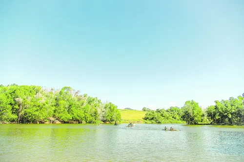 
          Imagem ilustrativa da imagem Mais 40 novas suítes para curtir a natureza em família
          