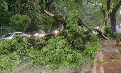 
          Imagem ilustrativa da imagem Mais de 100 horas após apagão, 30 mil imóveis seguem sem energia em SP
          
