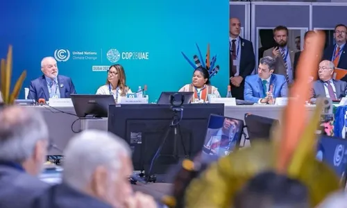 
          Imagem ilustrativa da imagem Mercado de carbono fica para depois da COP
          