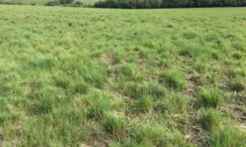 
          Imagem ilustrativa da imagem “Milagre” faz até remédio amargo ter gosto bom
          