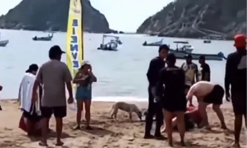 
          Imagem ilustrativa da imagem Mulher salva filho de 5 anos, mas morre após mordida de tubarão no México
          