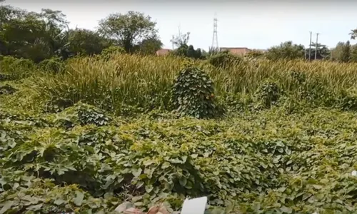 
          Imagem ilustrativa da imagem Mulher se esconde em matagal para fugir de ex-companheiro armado com duas facas
          