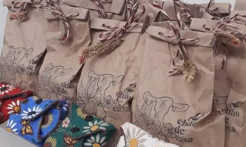 
          Imagem ilustrativa da imagem Mulheres treinadas para o mercado de trabalho
          