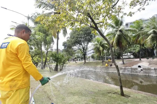
          Imagem ilustrativa da imagem Novo projeto de paisagismo é implantado na Agamenon Magalhães
          