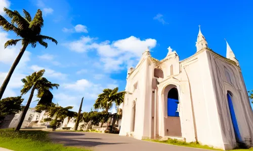 
          Imagem ilustrativa da imagem O cemitério que narra a epidemia de febre amarela em Pernambuco
          