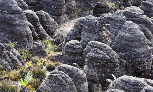 
          Imagem ilustrativa da imagem O pernambucano que andou sob cristais e acima das nuvens
          