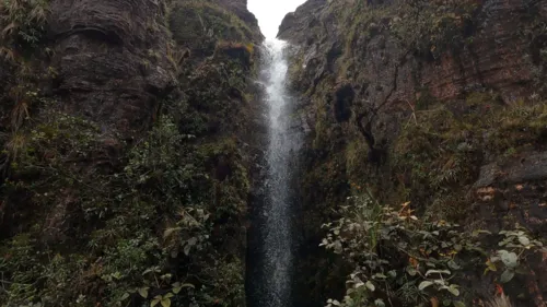 
          Imagem ilustrativa da imagem O pernambucano que andou sob cristais e acima das nuvens
          