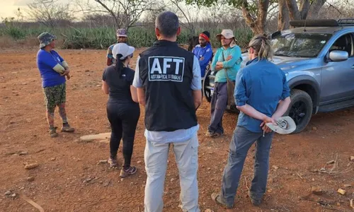 
          Imagem ilustrativa da imagem Onze pessoas são resgatadas em situação análoga à escravidão na Bahia
          