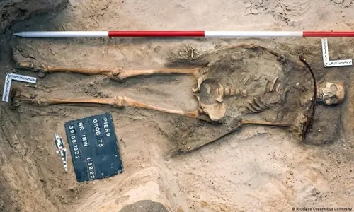 
          Imagem ilustrativa da imagem Ossada de “vampiro” vira tema de estudo
          