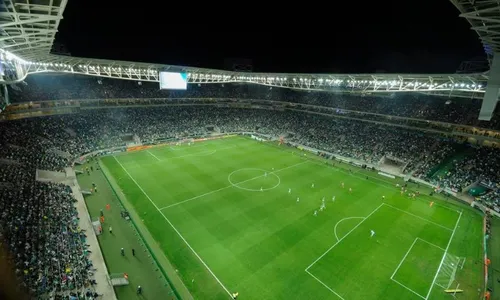 
          Imagem ilustrativa da imagem Palmeiras ajuda polícia a prender 28 com tecnologia no Allianz
          