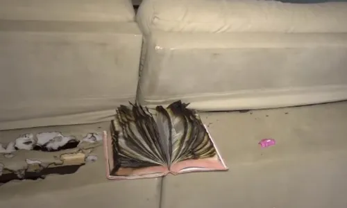 
          Imagem ilustrativa da imagem "Para mim, eu já estava morta", diz mulher queimada com óleo pelo marido em Viana
          