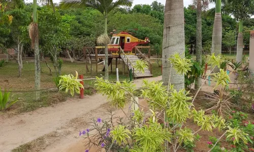 
          Imagem ilustrativa da imagem Parque é fechado no Sul do ES após presença de carrapato
          