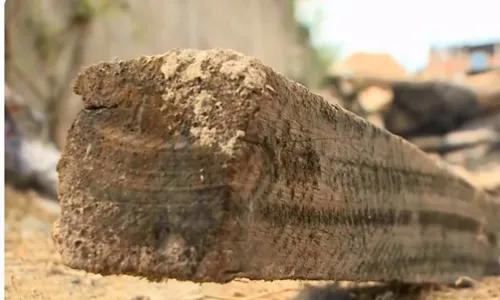 
          Imagem ilustrativa da imagem Pedreiro é agredido a pauladas após desentendimento no trabalho na Serra
          