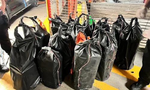 
          Imagem ilustrativa da imagem Polícia Federal apreende 1,5 tonelada de cocaína em navio no Porto de Vitória
          