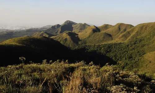 
          Imagem ilustrativa da imagem Polícia apura se corpo incinerado causou incêndio em parque estadual de MG
          