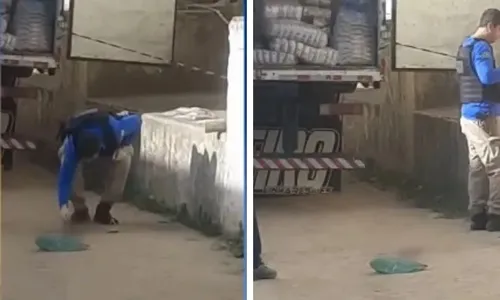 
          Imagem ilustrativa da imagem Polícia prende suspeitos de matar caminhoneiro no ES
          