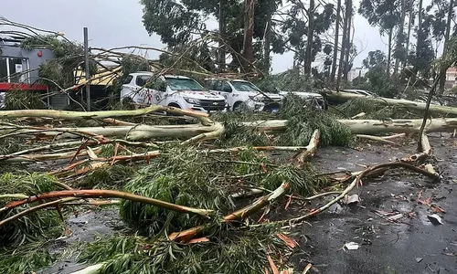 
          Imagem ilustrativa da imagem Prejuízos após temporal em Itaguaçu
          