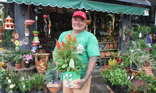 
          Imagem ilustrativa da imagem Primavera com mais de 60 opções de flores
          