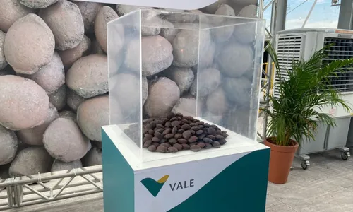 
          Imagem ilustrativa da imagem Revolução na siderurgia: Vale inaugura 1ª planta de briquete do mundo em Vitória
          