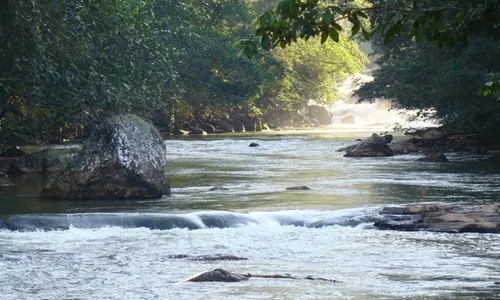 
          Imagem ilustrativa da imagem Rio que conta histórias do ES está quase “morto”
          