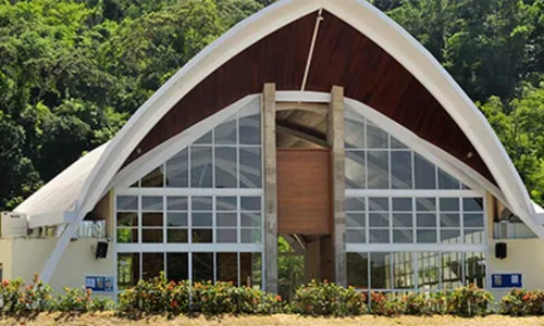 
          Imagem ilustrativa da imagem Romeiros saem de Linhares e percorrem 73 km até Santuário de Nossa Senhora da Saúde
          