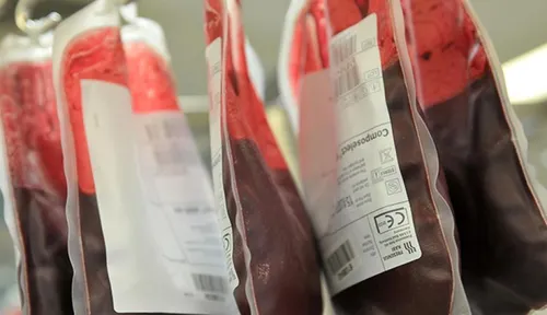 
          Imagem ilustrativa da imagem Sangue poderá ser vendido? Doador será remunerado? Entenda a 'PEC do Plasma'
          