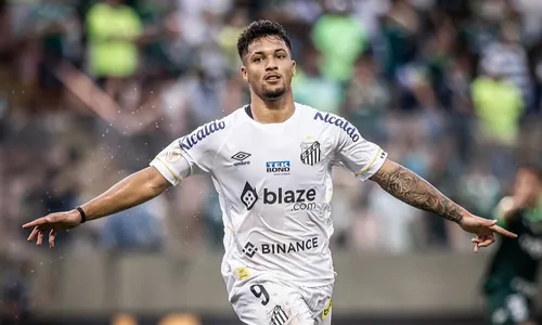 
          Imagem ilustrativa da imagem Santos vira sobre o Palmeiras, respira na tabela e pressiona o rival
          