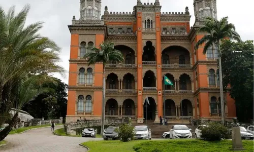 
          Imagem ilustrativa da imagem Síndromes respiratórias têm maior impacto em idosos e crianças
          