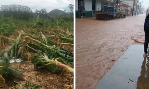 
          Imagem ilustrativa da imagem Temporais e chuva de granizo causam alagamentos e prejuízos no ES
          