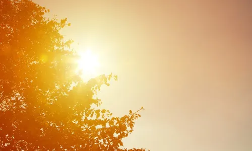 
          Imagem ilustrativa da imagem Teremos mais ondas de calor extremo em outubro? Confira previsão para todo o país
          