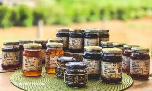 
          Imagem ilustrativa da imagem Tranquilidade e diversão na Pérola do Caparaó
          