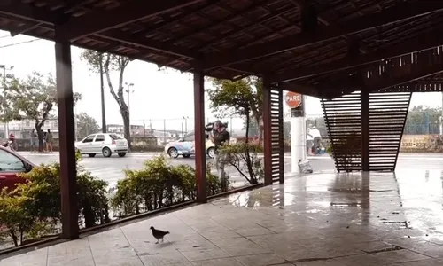 
          Imagem ilustrativa da imagem Uma pessoa é morta e três ficam feridas após tiros em Serra Dourada III
          