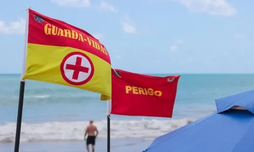 
          Imagem ilustrativa da imagem Veja 8 dicas para se proteger de tubarões durante as "marés mortas" no feriadão
          