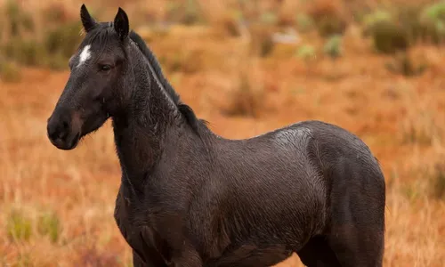 
          Imagem ilustrativa da imagem Veja programa Notícias do Campo deste domingo, a partir das 8h
          