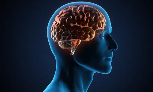 
          Imagem ilustrativa da imagem Voluntários no Estado testam remédio contra Alzheimer e Parkinson
          