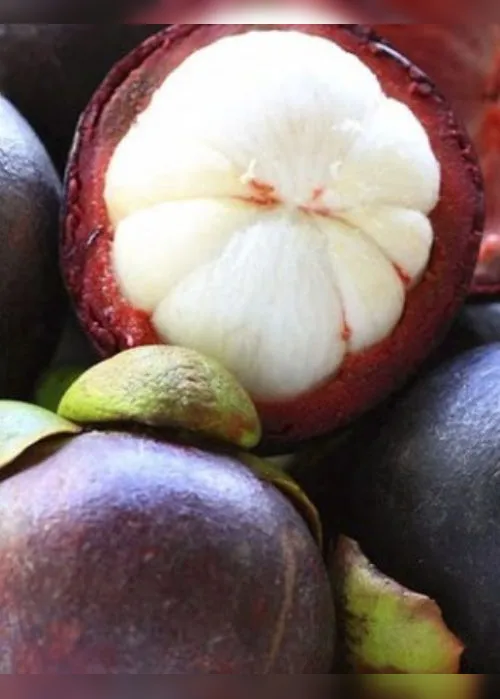 Imagem ilustrativa da imagem Agronegócio: Frutas exóticas na agricultura capixaba