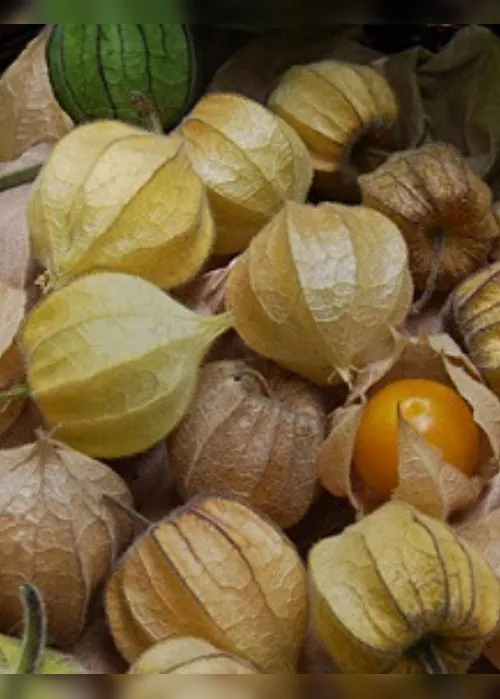 Imagem ilustrativa da imagem Agronegócio: Frutas exóticas na agricultura capixaba