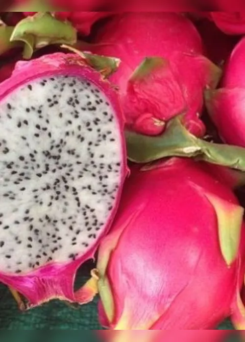 Imagem ilustrativa da imagem Agronegócio: Frutas exóticas na agricultura capixaba