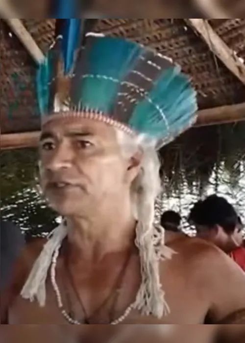 Imagem ilustrativa da imagem Coletores indígenas ajudam no reflorestamento e garantem renda extra no ES