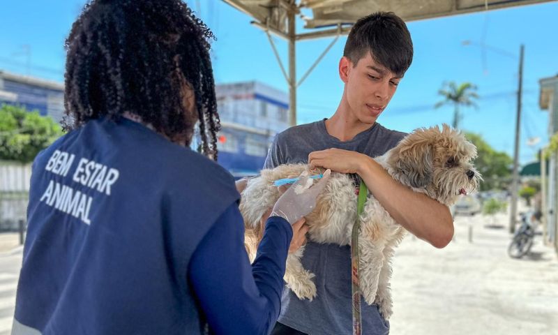 Recife e Olinda promovem vacinação antirrábica para cães e gatos neste  sábado (11) - Folha Pet - Folha PE