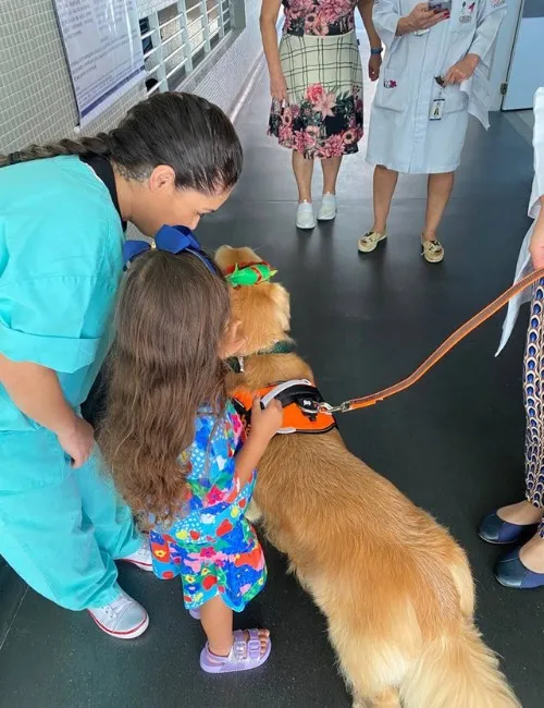 Imagem ilustrativa da imagem "Cãoterapeuta" visita crianças internadas no Hospital Infantil de Vitória