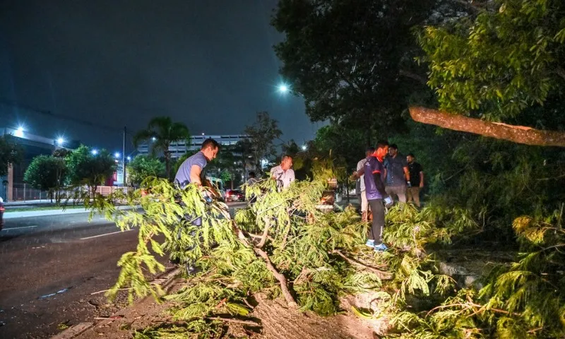 Imagem ilustrativa da imagem Greve dos garis: mutirão recolhe 74 toneladas de lixo nas ruas de Vitória