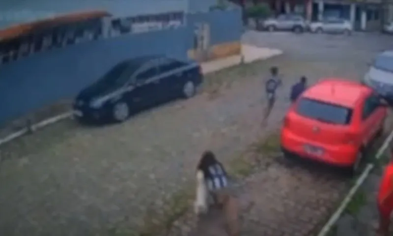 Imagem ilustrativa da imagem Menina de 9 anos é atacada por cachorro em rua de Vila Velha