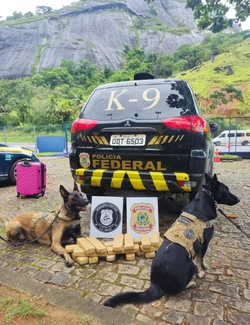 Imagem ilustrativa da imagem Mulher é presa com 18 tabletes de maconha dentro de mala em ônibus na BR-101 no ES