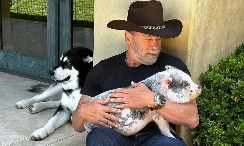 Imagem ilustrativa da imagem Arnold Schwarzenegger revela que dá comida de seus animais para as netas