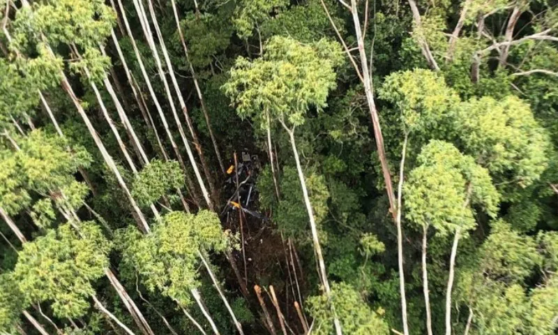 Imagem ilustrativa da imagem Helicóptero que desapareceu com 4 pessoas é encontrado dentro de mata em Paraibuna