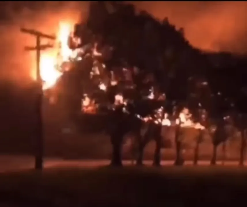 Imagem ilustrativa da imagem Incêndio destrói fábrica de móveis em Jaboatão
