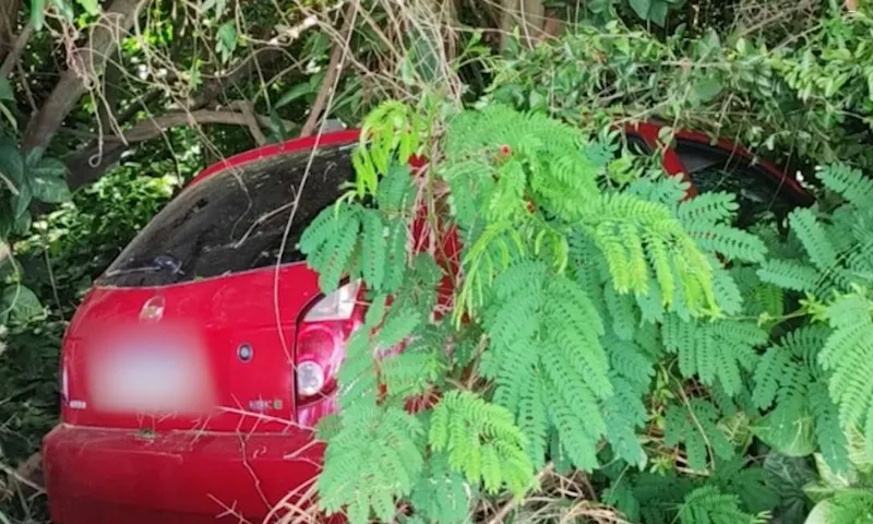 Imagem ilustrativa da imagem Motorista morre após levar tiros e carro despencar em ribanceira